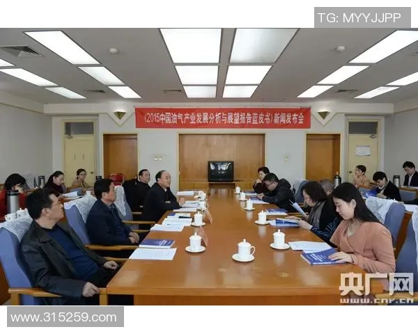 独家分析LNG团队协作模式的优劣对比与发展趋势探讨