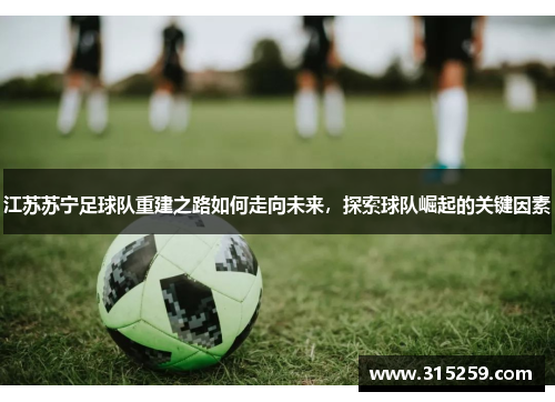 江苏苏宁足球队重建之路如何走向未来，探索球队崛起的关键因素