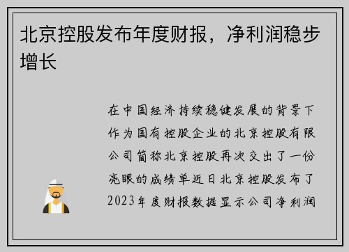 北京控股发布年度财报，净利润稳步增长