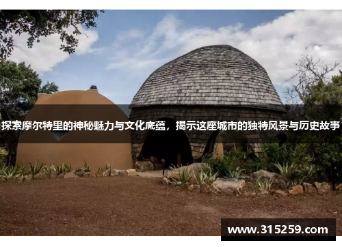 探索摩尔特里的神秘魅力与文化底蕴，揭示这座城市的独特风景与历史故事